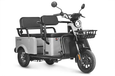 Электротрицикл Wanshida LC-F150 60V 1000Вт серый