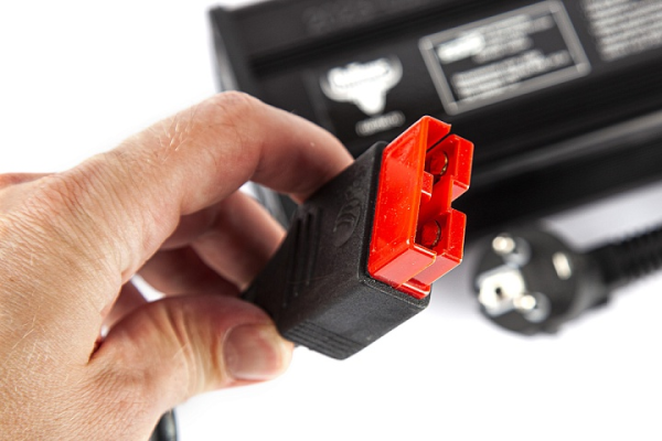 Зарядное устройство интеллектуальное для LiFePo4 аккумуляторов 24V40AH (12А) Anderson