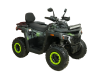 Бензиновый квадроцикл MOTAX GRIZLIK T250 BASIC зеленый