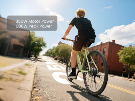 Электровелосипед PUCKIPUPPY Doberman зеленый