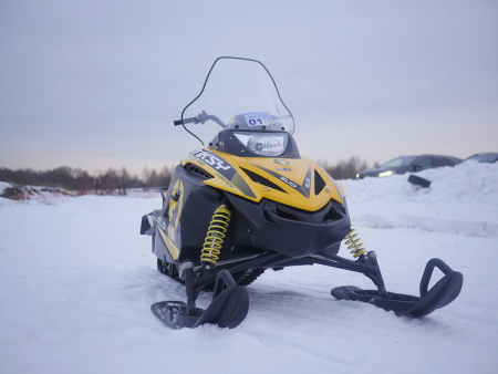 Электронегоход ELIQ Тикси АКБ 72AH, 72V, с обогревом