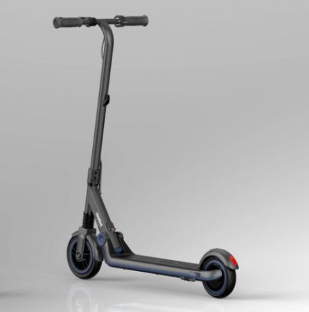 Электросамокат Ninebot eKickScooter Zing E10