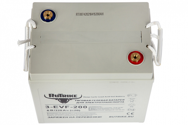 Тяговый аккумулятор RuTrike 3-EVF-200 (6V200A/H C3)