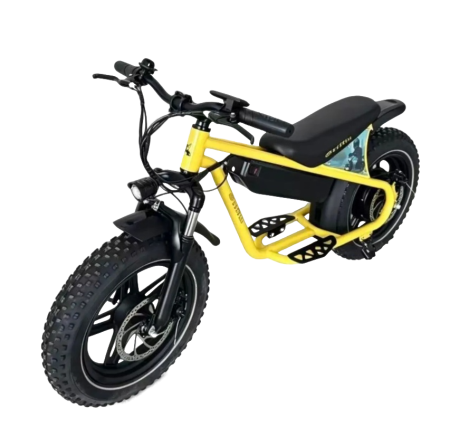 Электровелосипед Griffin J3