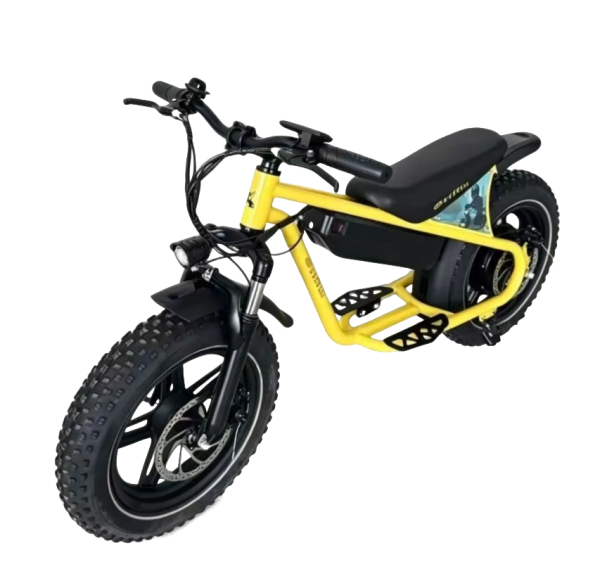 Электровелосипед Griffin J3
