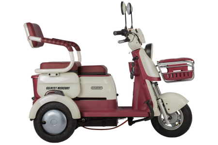 Электротрицикл Rutrike Gelbert Mercury 48V/60V 650Вт бело-красный