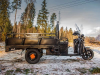 Электротрицикл Rutrike D4 1800 с блокировкой заднего моста