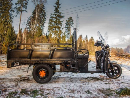 Электротрицикл Rutrike D4 1800 с блокировкой заднего моста