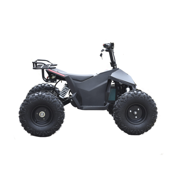 Электроквадроцикл Skyboard CyberTruck Karelia 1800W