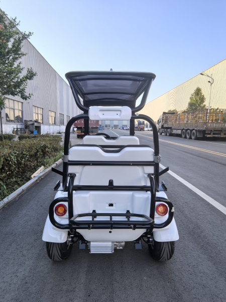 Гольфкар GreenCamel Сонора A40 New (4 seats 2500W 225/40-10' литые) белый