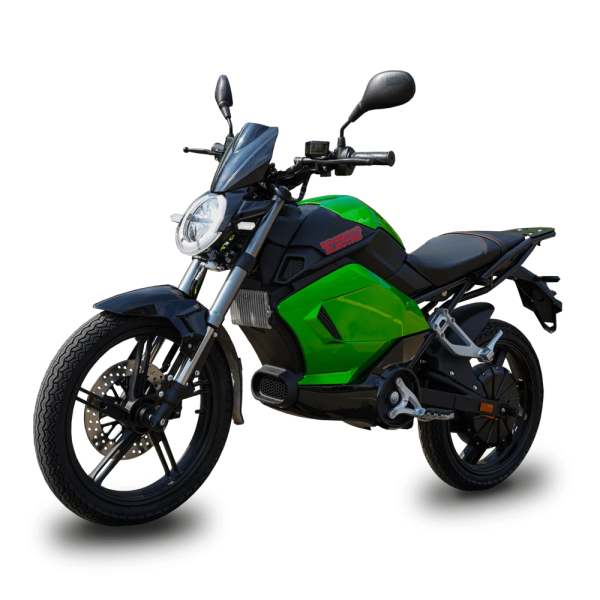 Электромотоцикл ECO RAY RTM E21