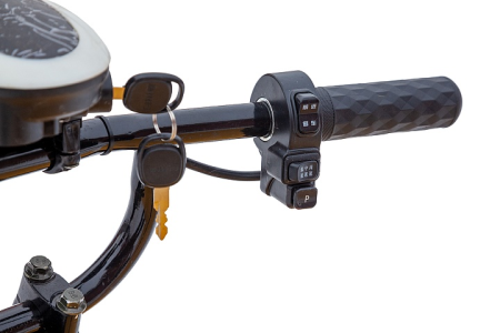 Платформенная тележка электрическая RuTrike ТАКСА ВАЙД