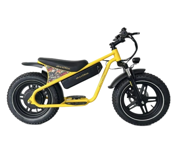 Электровелосипед Griffin J3