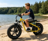 Электровелосипед Griffin J3