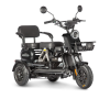 Электротрицикл Wanshida UN MOTO 60V 650Вт