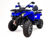 Бензиновый квадроцикл MOTAX GRIZLIK 200 ULTRA BIG синий
