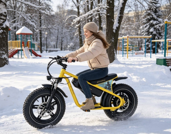 Электровелосипед Griffin J3