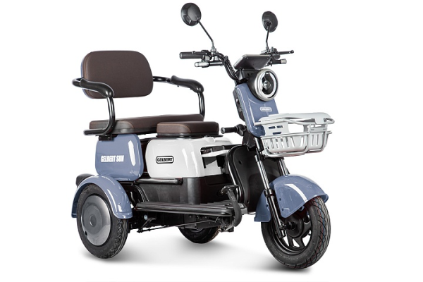 Электротрицикл Rutrike Gelbert Sun 48V/60V 650Вт фиолетово-белый